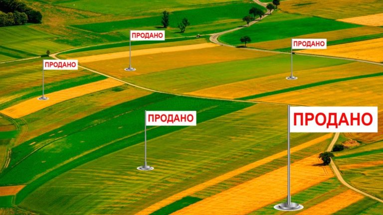 Як в українців крадуть землю і що робити, аби захистити свій наділ